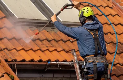 Démoussage et hydrofuge de toiture à Lavieu